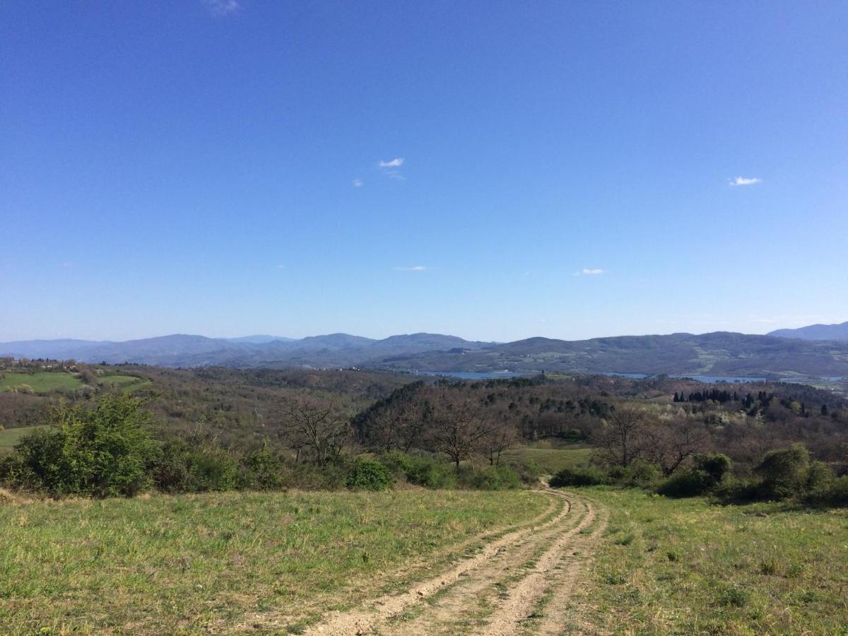 Agriturismo Corzano باربيرينو دي موجيلو المظهر الخارجي الصورة