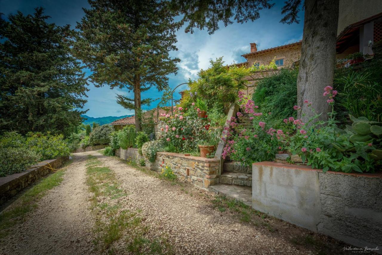 Agriturismo Corzano باربيرينو دي موجيلو المظهر الخارجي الصورة